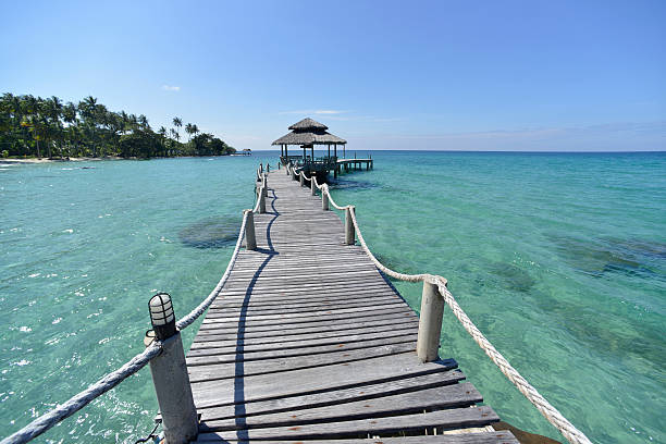 istock Wooden bridge at sunny day 530927811