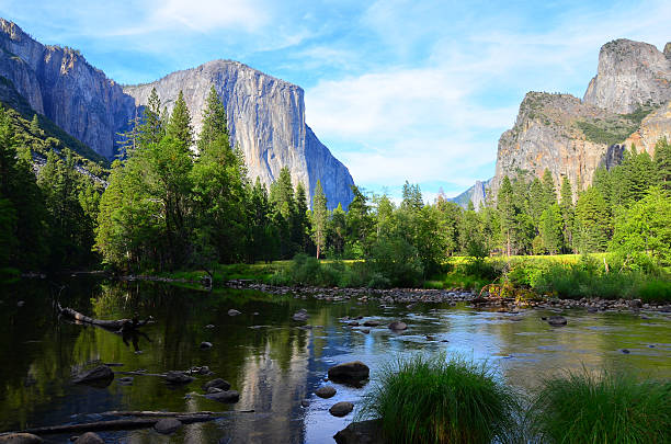 istock Summer in Yosemite Valley 530927841