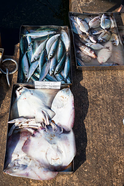 istock fresh fish  at the fish market 530928176