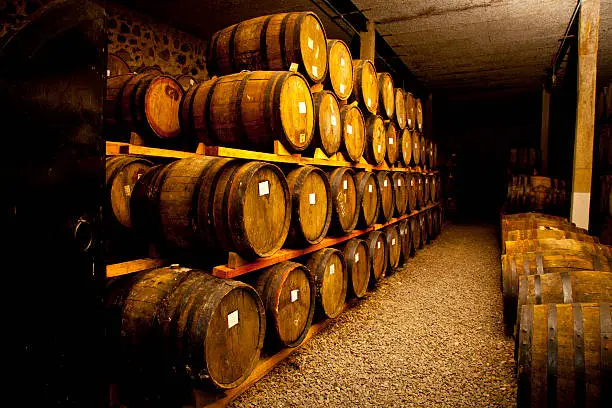 Wine barrels stacked in the old cellar of the winery.