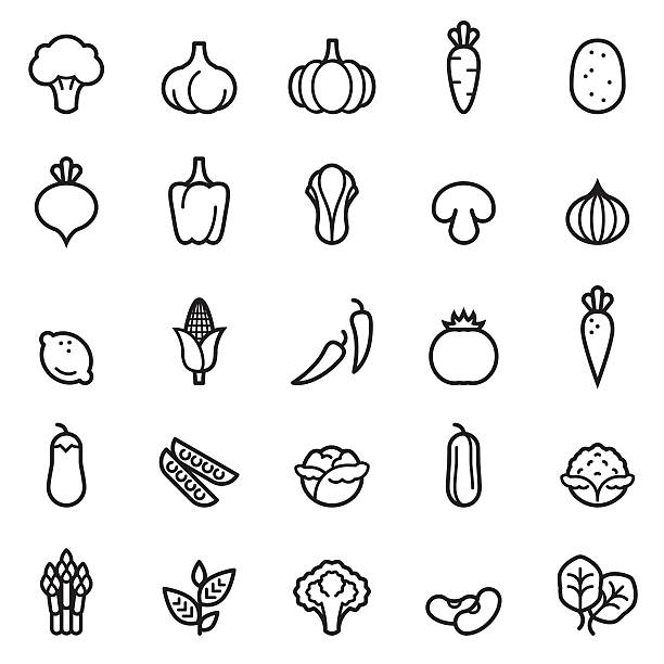 овощи, тонкие линии иконки - concepts food lettuce bean stock illustrations