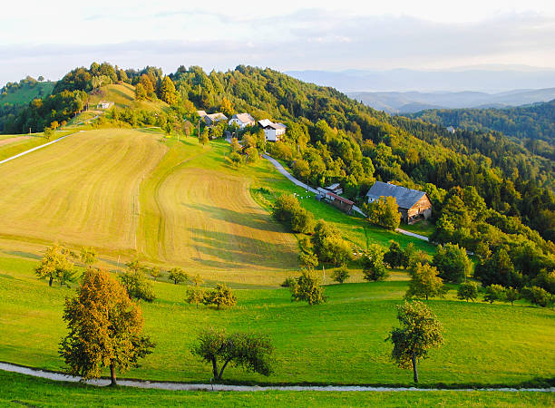 istock trees and houses on hill with sunlight 530929133