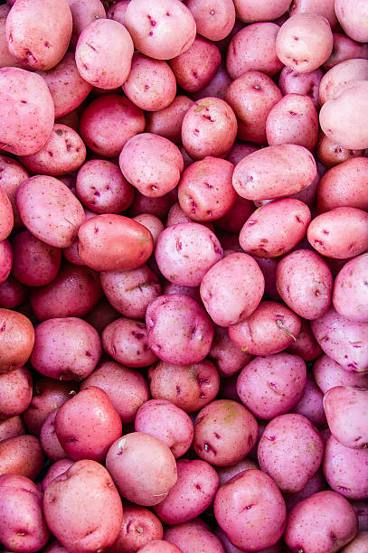 batata-roxa em exibição - red potato raw potato market red - fotografias e filmes do acervo