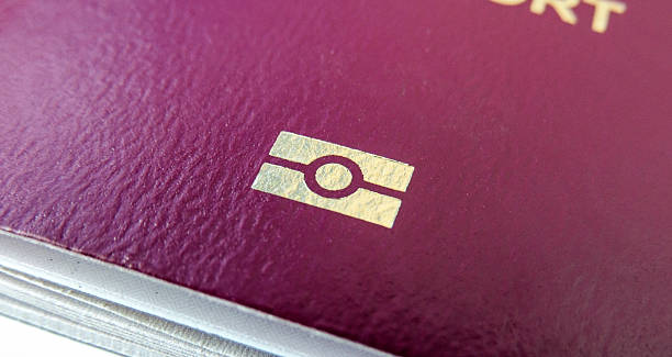 istock Biometric, e-passport or digital passport symbol 530930226