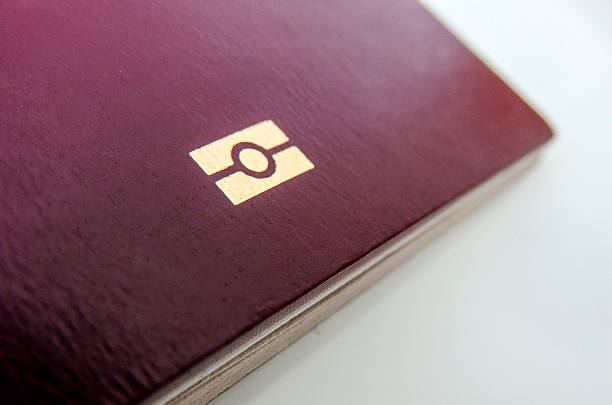 istock Biometric, e-passport or digital passport symbol 530930496