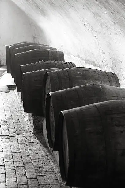line of wooden  barrels in a cellar