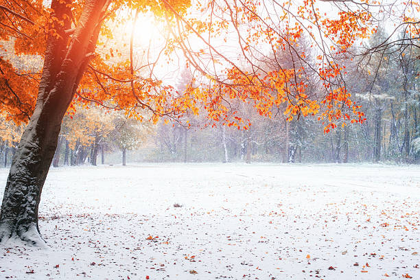 istock first days of winter 530931391