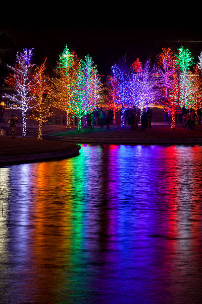 istock Trees wrapped in LED lights for Christmas 530931919