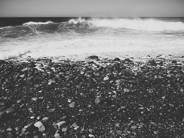 istock Black and white landscape beach photo 530933866