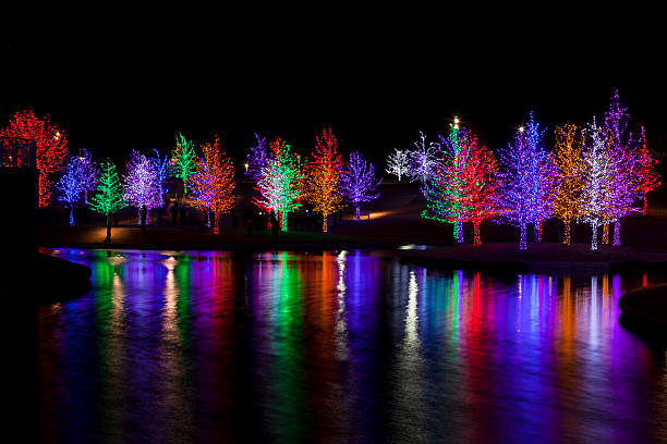 istock Trees wrapped in LED lights for Christmas 530933947
