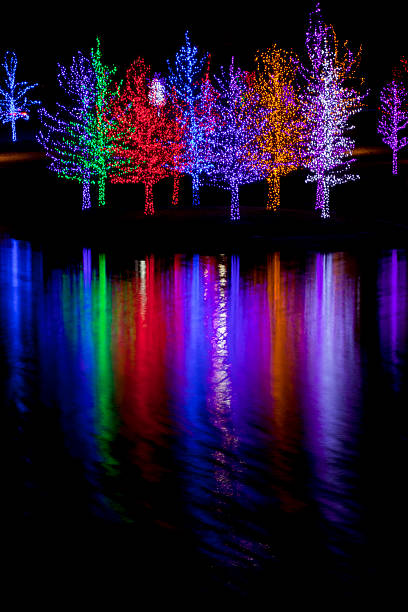 istock Trees wrapped in LED lights for Christmas 530934195