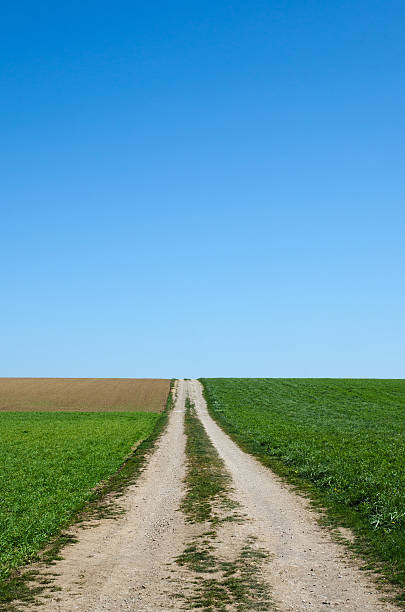istock Country road to the fields 530938105