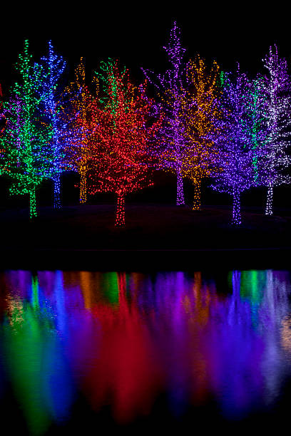 istock Trees wrapped in LED lights for Christmas 530938133