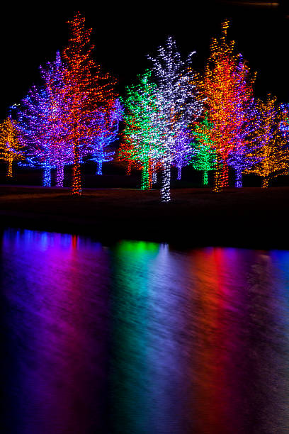 istock Trees wrapped in LED lights for Christmas 530938281
