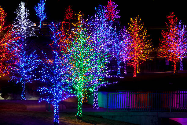 istock Trees wrapped in LED lights for Christmas 530938285