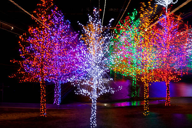 istock Trees wrapped in LED lights for Christmas (abstract) 530938379
