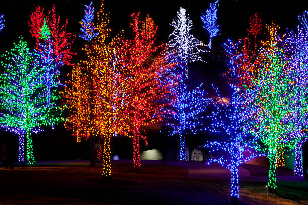 istock Trees wrapped in LED lights for Christmas 530938657