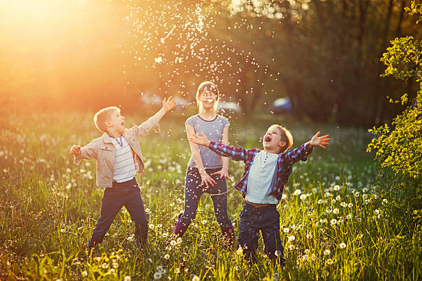 irmãos e irmãs tocando no campo de dente-de-leão - spring flower dandelion expressing positivity - fotografias e filmes do acervo