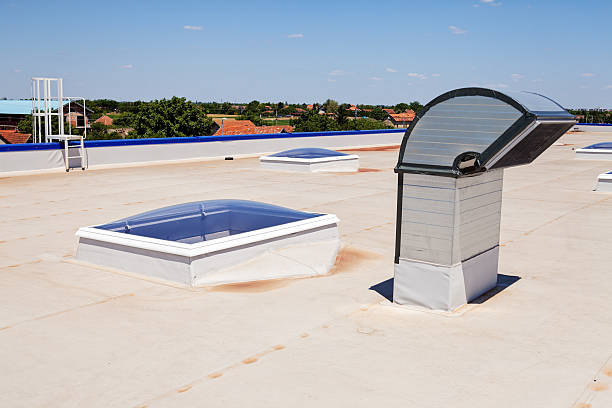 istock flat roof on industrial hall 530939703