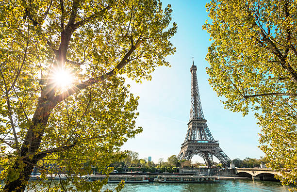 istock Eiffel Tower in Paris, France 530939840