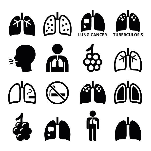 Lungs, lung disease icons set - tuberculosis, cancer Human body parts - lungs vector icons isolated on white  alveolus stock illustrations