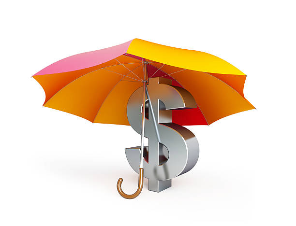 istock dollar sign under umbrella 530941023