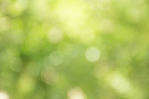 istock Abstract Green Natural Defocused Lights 530941468