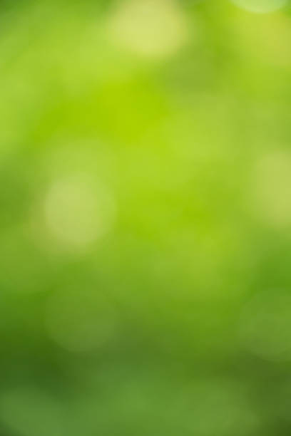 istock Abstract Green Natural Defocused Lights 530941668