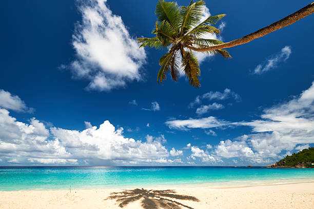 istock Beautiful Anse Intendance beach at Seychelles 530942346