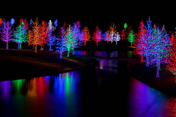 istock Trees wrapped in LED lights for Christmas 530942449