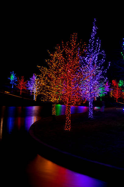 istock Trees wrapped in LED lights for Christmas 530942459