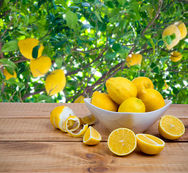 istock Plate with lemons on wooden table over fruit tree background 530942476