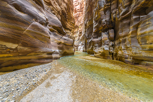Female walking in the river using walking sticks and carrying backpacks in the Narrows at Zion national park Utah