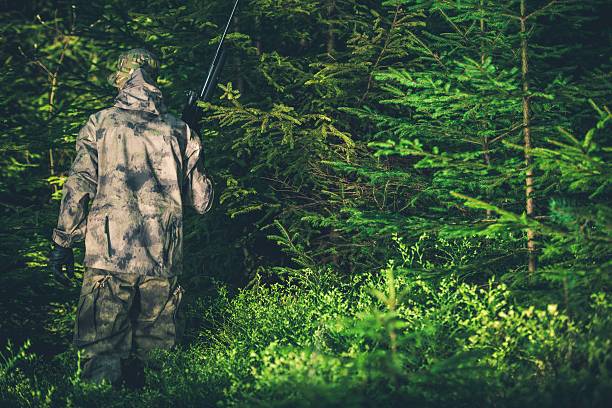 istock Illegal Hunting Poacher 530942708