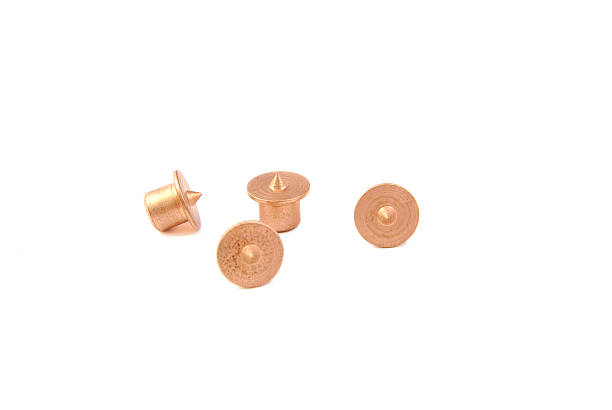 istock Set of wood dowel centers 530942859
