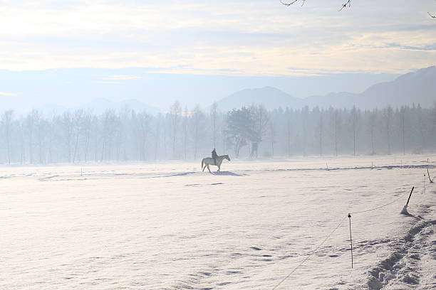 istock Winter Wonderland 530942891