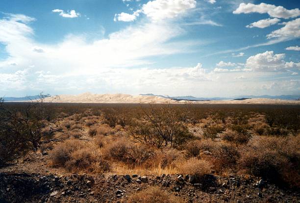 istock Kelso dunes, Mojave National Preserve, California 530946490