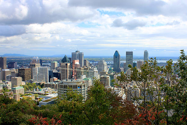 istock View of Montreal from Mount Royal 530946551
