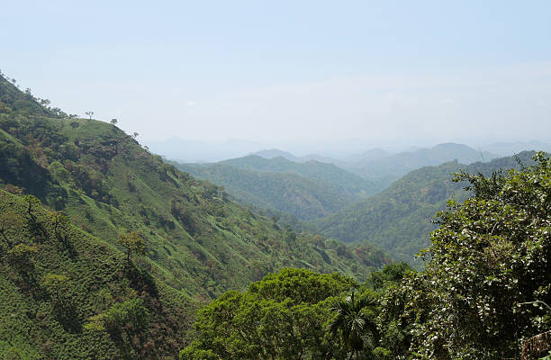 istock mountain scenery in Sri Lanka 530946629