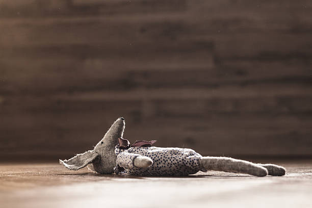 Vintage toy lying down on wooden floor.