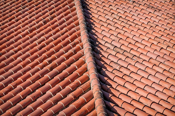 Roof of Tiles stock photo