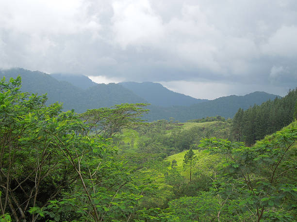 istock mountain scenery in Sri Lanka 530948127
