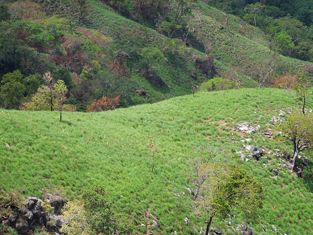 istock mountain scenery in Sri Lanka 530948399
