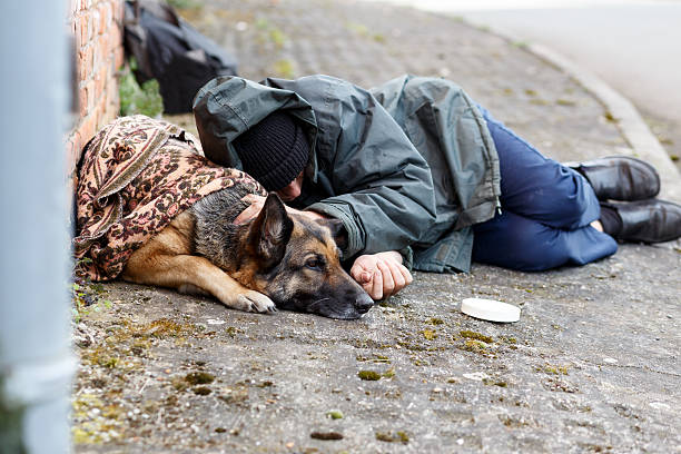 obdachloser mann mit seinem hund - senzatetto foto e immagini stock