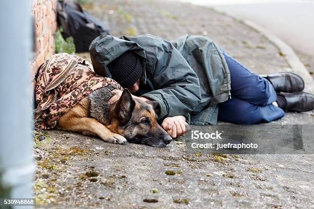 Homeless Man With His Dog Stock Photo - Download Image Now - Homelessness, Homeless Person, Dog