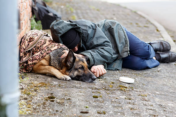 obdachloser mann mit seinem hund - vagabundo imagens e fotografias de stock