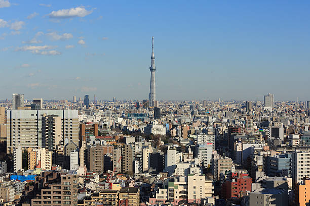 istock Tokyo Skyline in Japan 530952233
