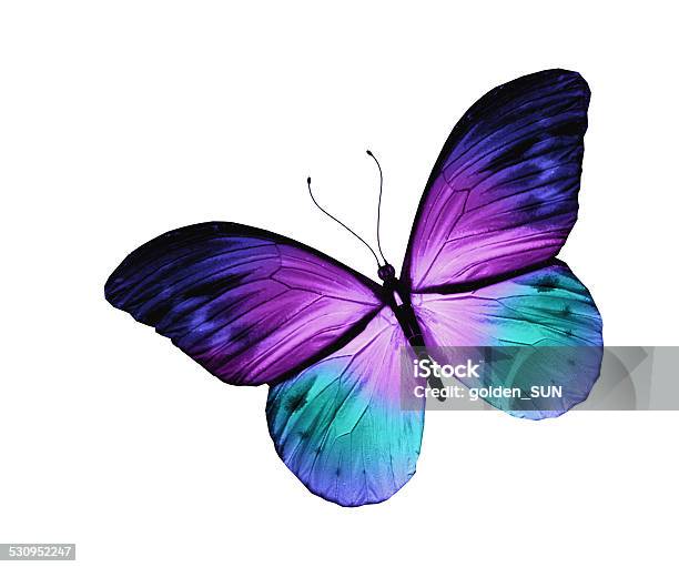 Blue Butterfly Isolated On White Background Stock Photo - Download Image Now - 2015, Collection, Day