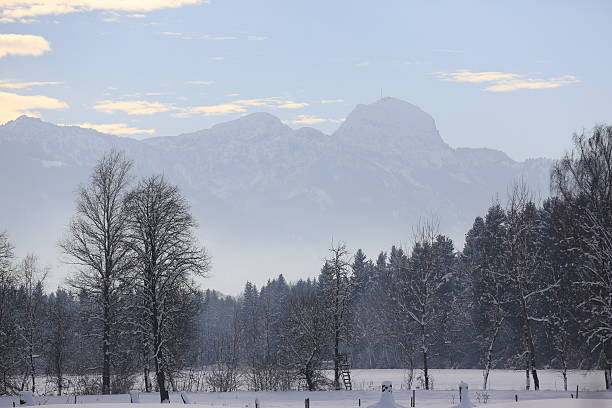 istock Winter Wonderland 530953133
