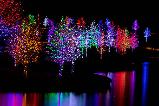 istock Trees wrapped in LED lights for Christmas 530959353